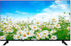 Telefunken Smart Fernseher 40" Full HD LED 40FAE5514F HDR (2024)