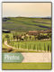 Джобен албум Viaggio Tuscany побира 40 снимки 1...