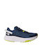 Altamesa 300 Ανδρικά Αθλητικά Παπούτσια Trail Running Shady Blue / Summit Navy