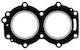 Recmar Zylinderkopfdichtung Yamaha 6l2-11181-a3 20-25PS Autolube