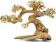 Aquadeco Claw Bonsai M 40x25
