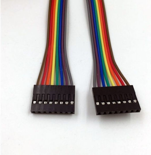 30cm 8 Pin Female To Female Dupont Cable