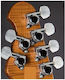 Schaller String Instruments Tuning Pegs Lock Ch...