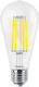 Braytron LED Bulb 7W for Socket E27 and Shape ST64 Warm White