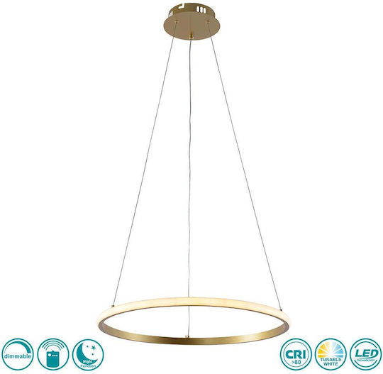 Optonica Pendant Light Gold