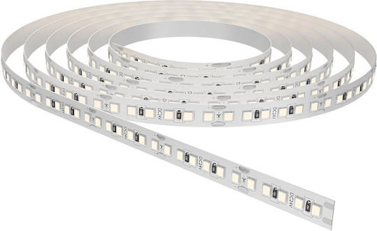 Braytron Bandă LED 24V Alb Cald Lumină Tip SMD2835
