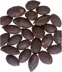 Palmetto 40g 279