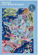 Puzzle 2D 1000 Piese