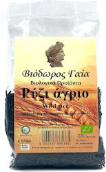 Βιόδωρος Γαία Βιολογικό Άγριο 170gr Βιόδωρος Γαία Βιολογικό Άγριο 170gr