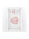Bonjour Bebe Baby Sheets Set Crib Cotton White 120x160cm
