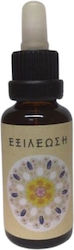 Νεοι Συμμαχοι Εξιλεωση 1τεμ 30ml
