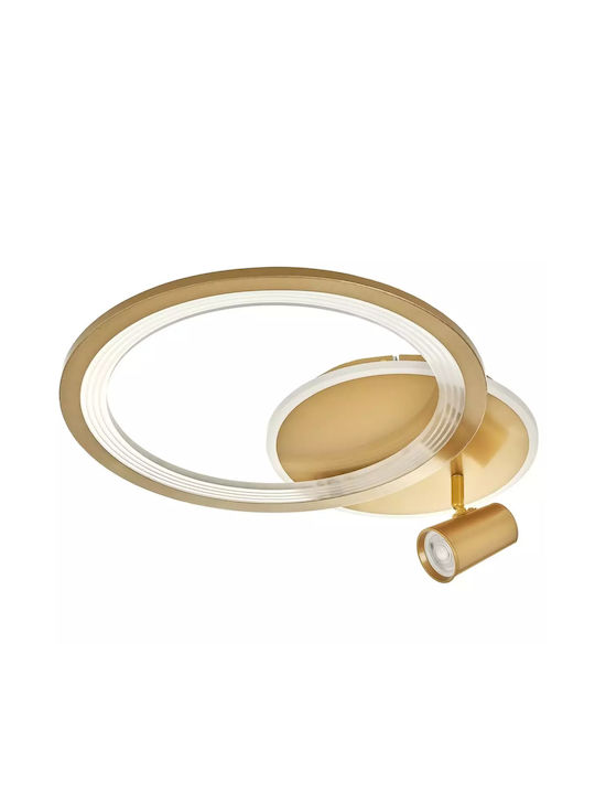 Ceiling Light LED