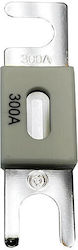 Anl-fuse 300a/80v Προϊόντα Ονομαστικής Τάσης 48v Συσκευασία 5 Τεμαχίων