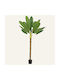 Beauty Home Bananenpflanze im Topf 280 cm