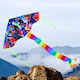 Triangular Kite with Tail & Twine 1pcs