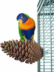 Perch Large Pinecone Birds Kingdom 13cm Perch Large Pinecone Birds Kingdom 13cm