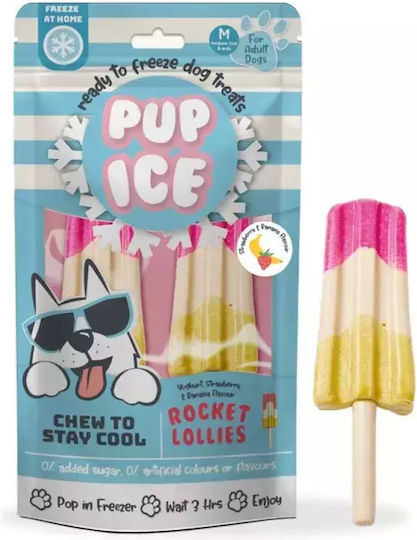 Pup Ice Dog Treat with Chicken Strawberry & Banana 90gr