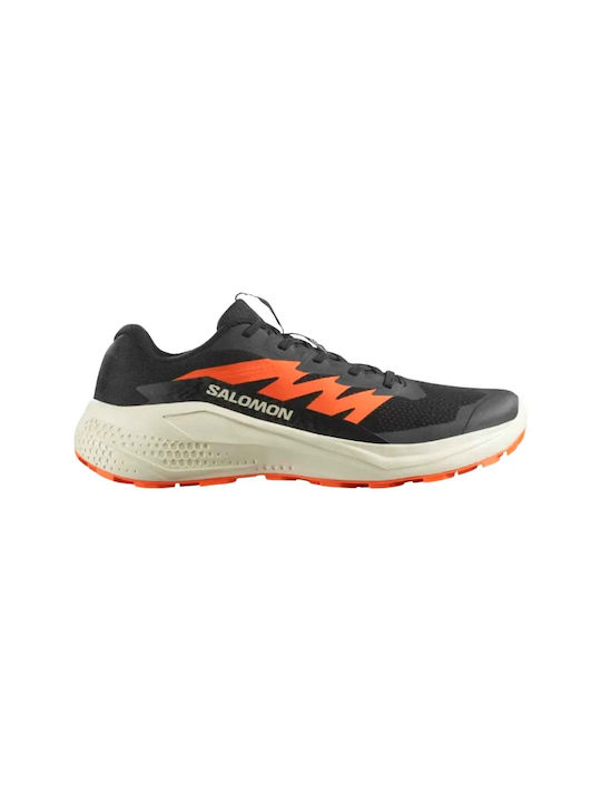 Salomon AlphaGlide Ανδρικά Αθλητικά Παπούτσια T...