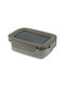 Viosarp Inox Lunch Box Silver 650ml