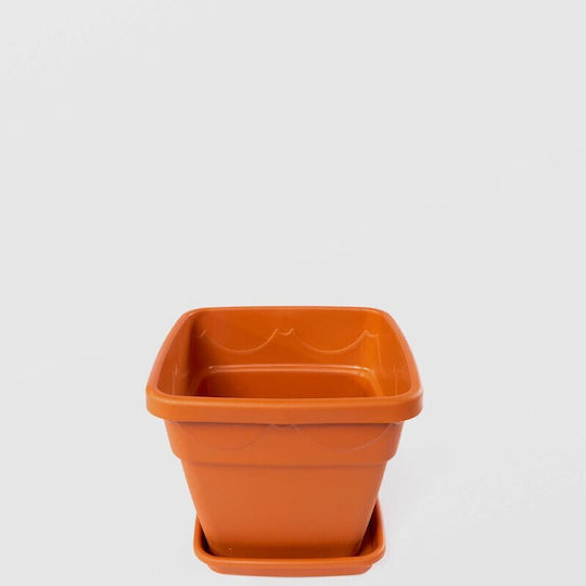 Tavă dreptunghiulară pentru ghiveci 28x21cm din plastic maro