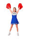 Carnival Costume Cheerleader