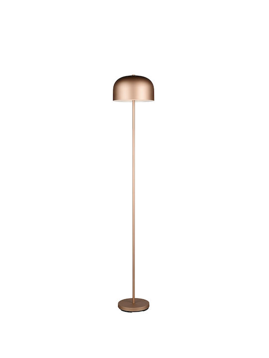 Trio Lighting LED Φωτιστικό Δαπέδου με Θερμό Λευκό Φως Καφέ