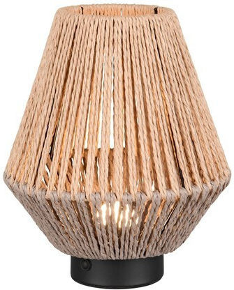 Trio Lighting Διακοσμητικό Φωτιστικό LED Θερμό Λευκό 3000K