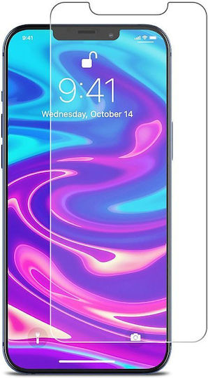 Tempered Glass (iPhone 12 Pro Max)