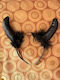 Horns Carnival Headband Black for Halloween made of Plastic 1pcs
