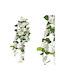 Marhome Hängende Wurzel Weiße Bougainvillea Blumen Y122cm 12/72kib 00-40014-3