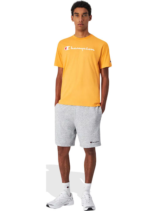 Champion Men's Shorts Gray