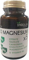 Ino Plus Magneziu Chelat Bisglicinat 30 Comprimate Ino Plus Magneziu Chelat Bisglicinat 30 Comprimate