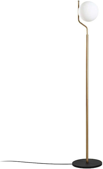 Opviq Tulip Floor Lamp H168xW30cm. with Socket for Bulb E27 Yellow
