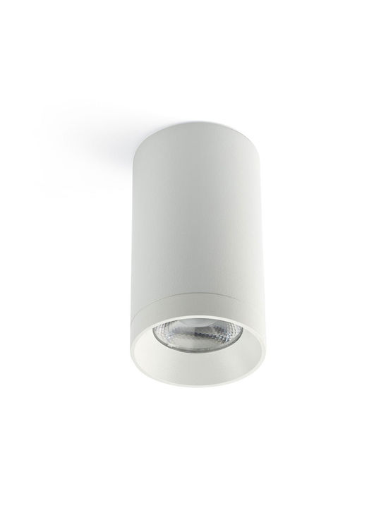 Faro Barcelona Outdoor Ceiling Light with Integrated LED in White Color 75304-122