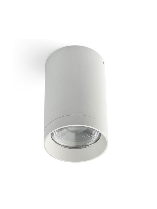 Faro Barcelona Outdoor Ceiling Light with Integrated LED in White Color 75305-121