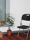 Scaun de catering Plastic Negru 39x41x90cm
