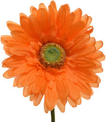 Λουλούδι Ζέρμπερα Gerbera Πορτοκαλί 10x50cm