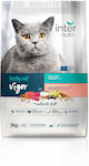 Internutri Cat Dry Food 3kg