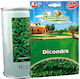Gemma Samen Rasen Dichondra 250gr