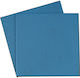 Thermal Grizzly Pad termic