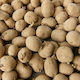 NitroFarm Samen 25kg