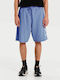 Men's Athletic Shorts Siel Purple