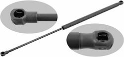 Trunk Shock for Peugeot 206 1998-2009 Trunk Shock for Peugeot 206 1998-2009
