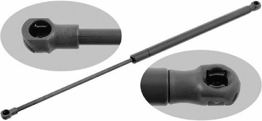 Trunk Shock for Peugeot 206 1998-2009