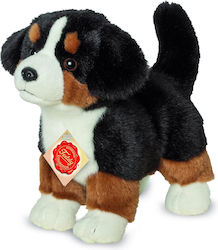 Teddy Welpen Für 3+ Jahre 23 cm Teddy Welpen Für 3+ Jahre 23 cm