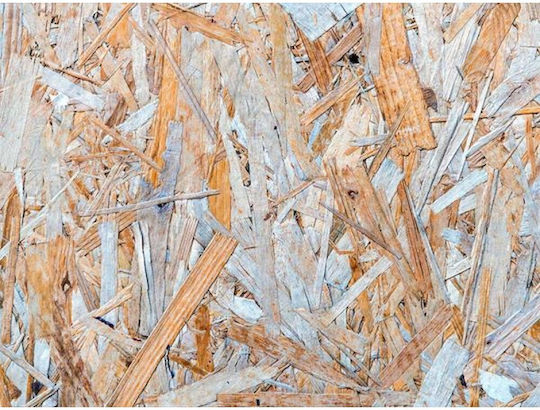 Wall Wallpaper 360x270cm