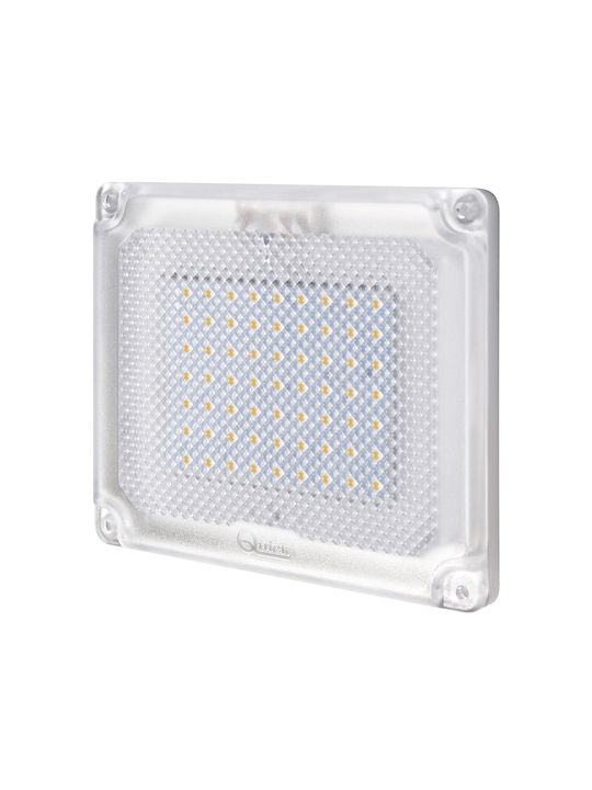 Sunshine Wall-Mounted Outdoor Ceiling Light IP66