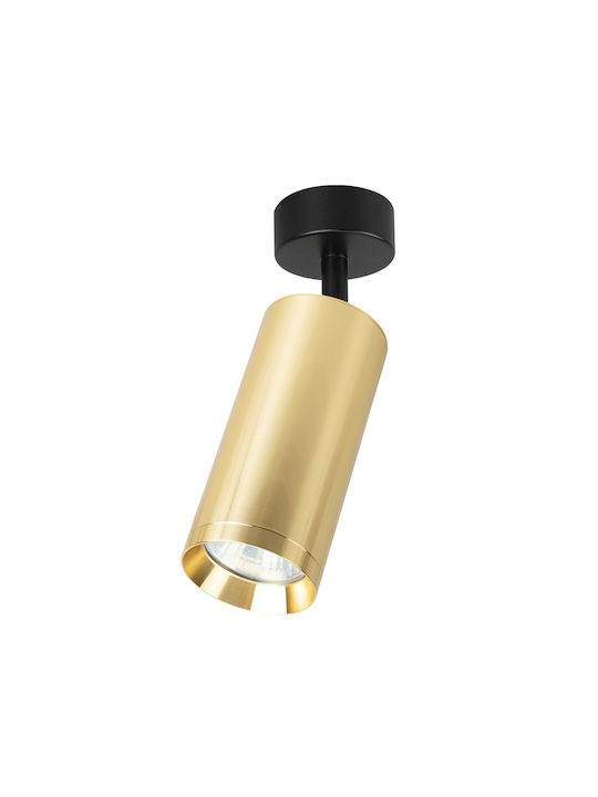 Eko Light Einzel Spot mit Fassung GU10 in Gold Farbe