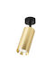 Eko Light Einzel Spot mit Fassung GU10 in Gold Farbe