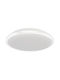 Eko Light Ceiling Mount Light Bathroom White with Integrated LED